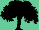 illustration of a tree