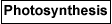 photosynthesis