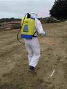 t1 pesticides